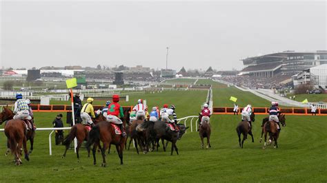 cheltenham runners tomorrow|runners at ludlow races tomorrow.